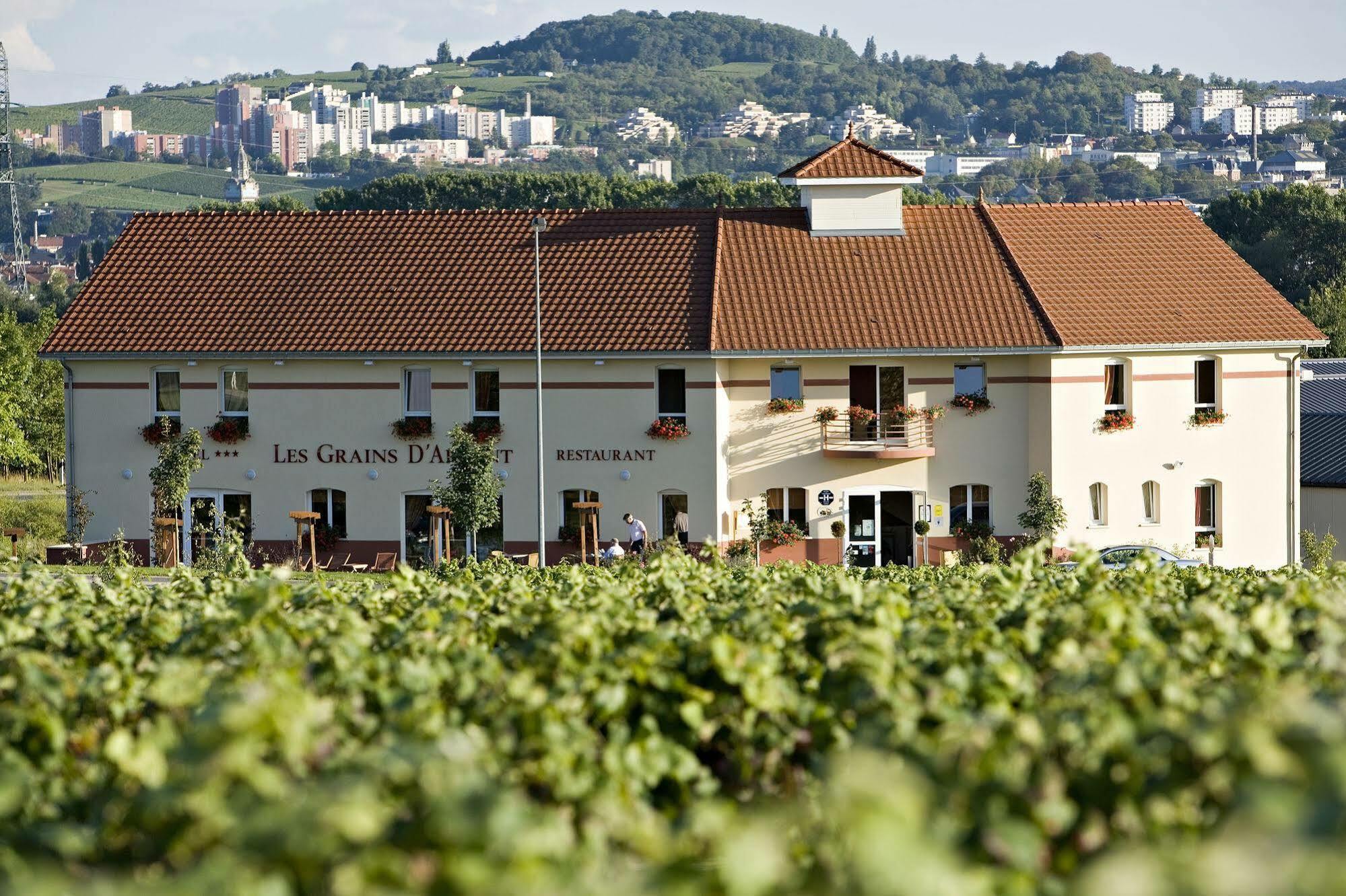 Hotel Restaurant Les Grains D'Argent Dizy - Epernay المظهر الخارجي الصورة